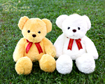 70������u���}�� ���K�O�N�g�d����