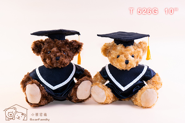 T526G 坐姿26公分畢業熊(單隻) +【小熊手提袋】