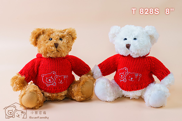 T828S p@